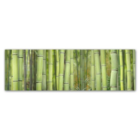 Cora Niele 'Bamboo Scape' Canvas Art,6x19